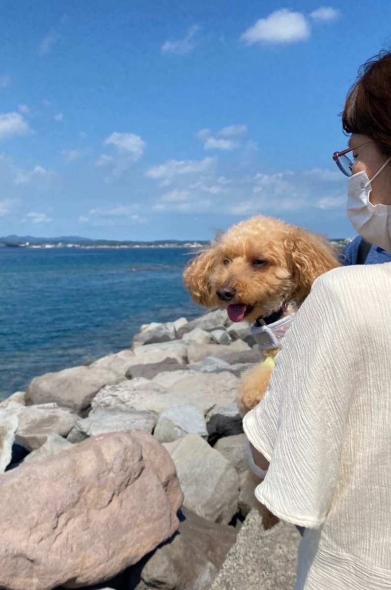 沖ノ島海水浴場