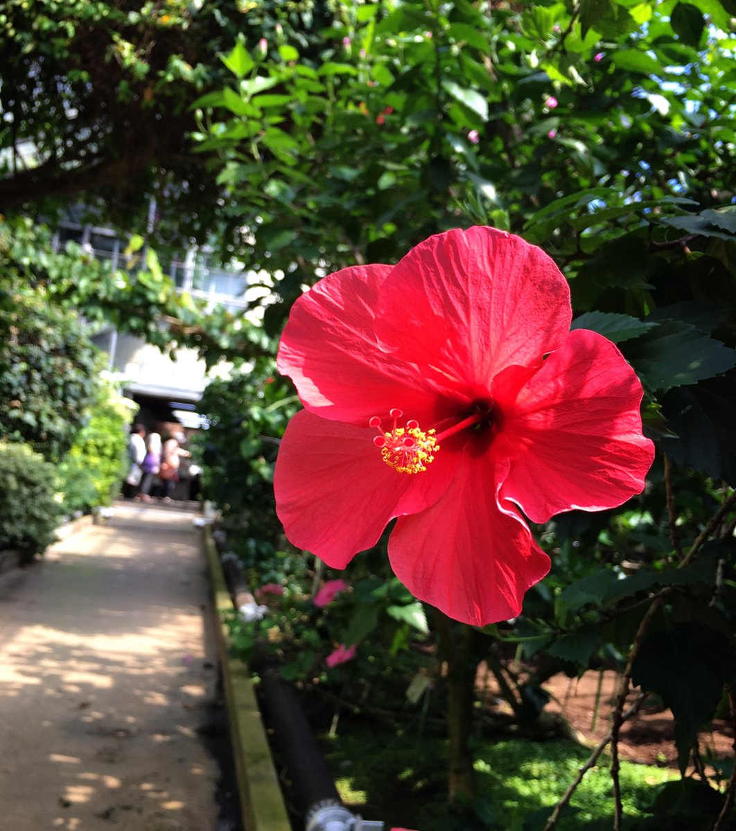 熱川バナナワニ園