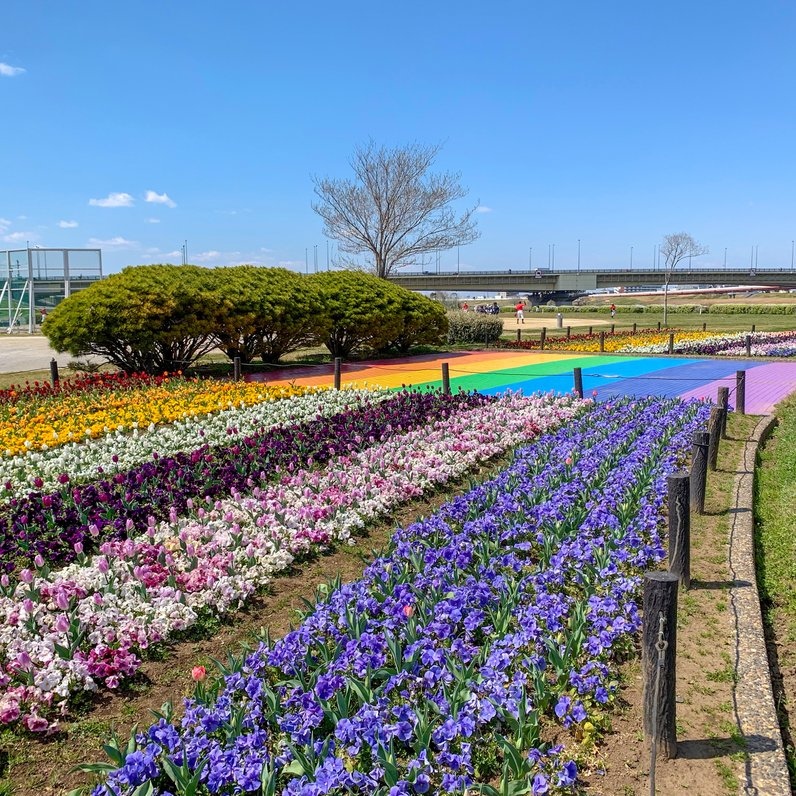 虹の広場