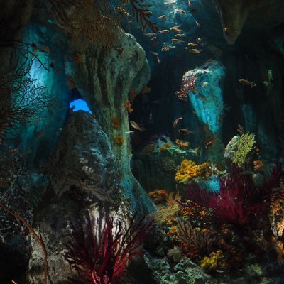 サンシャイン水族館