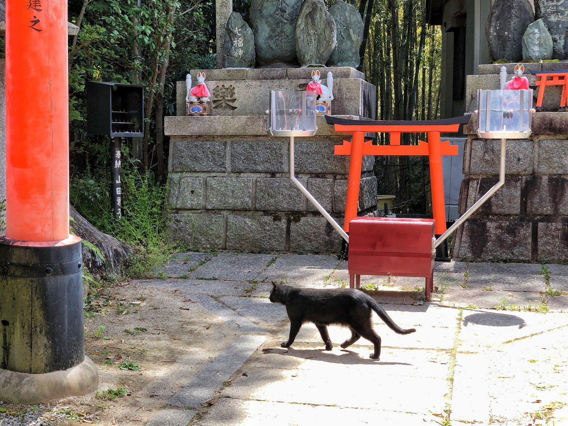 ねこ遭遇率高い伏見稲荷大社♡パワースポットに現る猫★お土産に猫写真マストバイ！