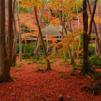 祇王寺