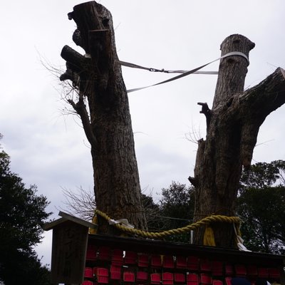 江島神社