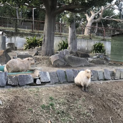 金沢動物園