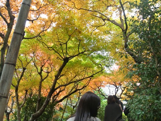 鈴虫寺(華厳寺)