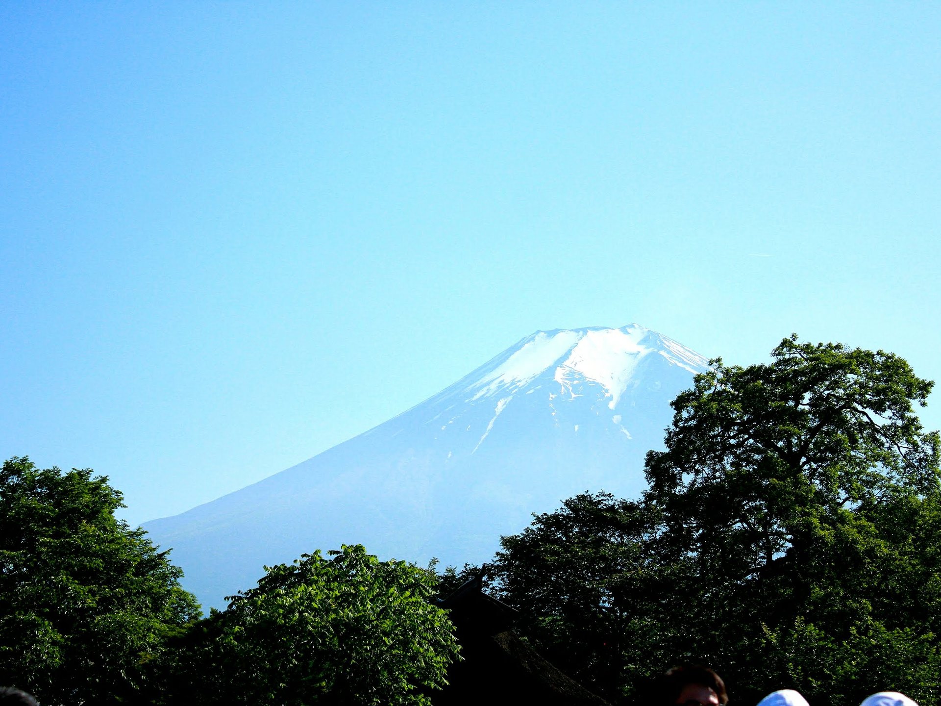 【富士山世界文化遺産構成資産】神秘の湧き水「忍野八海」を見て涼もう♪