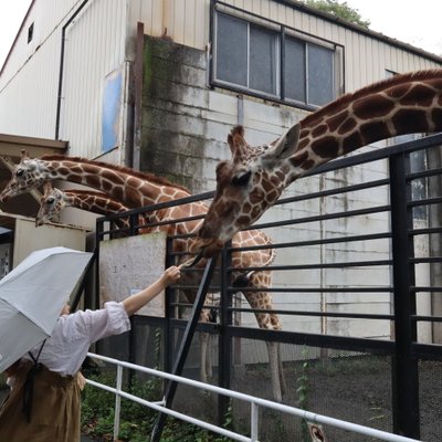 宇都宮動物園