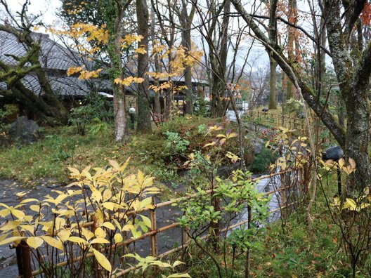 由布院 玉の湯