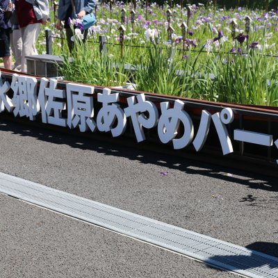 水郷佐原あやめパーク