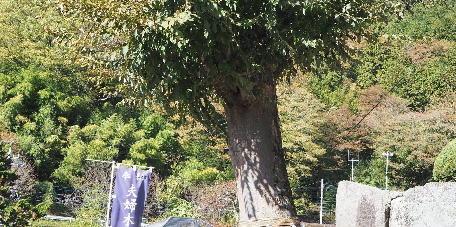 夫婦木神社