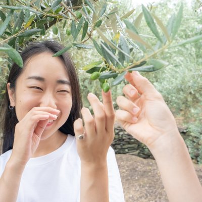 小豆島オリーブ園