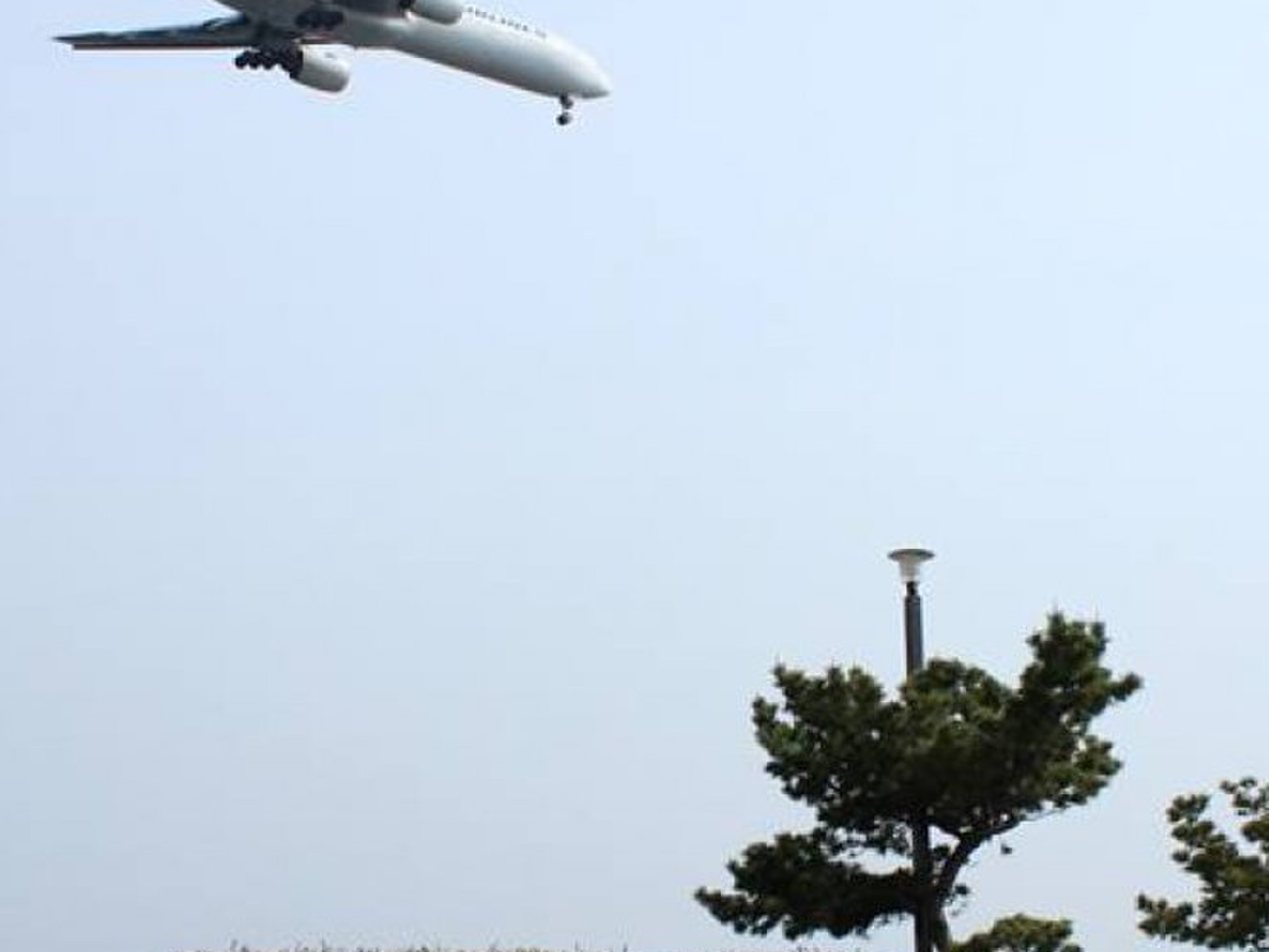 【東京都内の公園デートスポット】飛行機の見える『城南島海浜公園』がおすすめ！