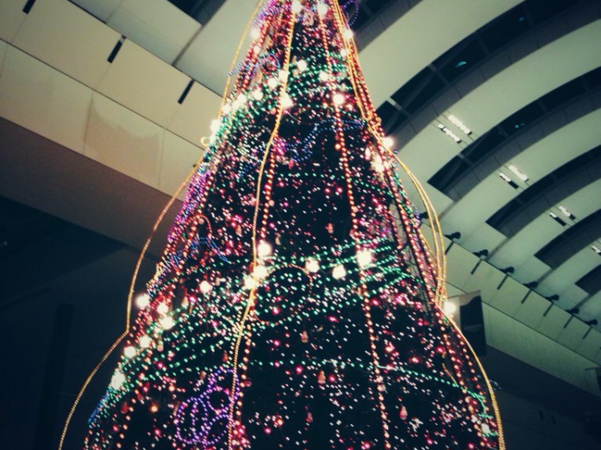 横浜・みなとみらい！クリスマスツリー先取りイルミネーションデートスポット【カップル必見！】