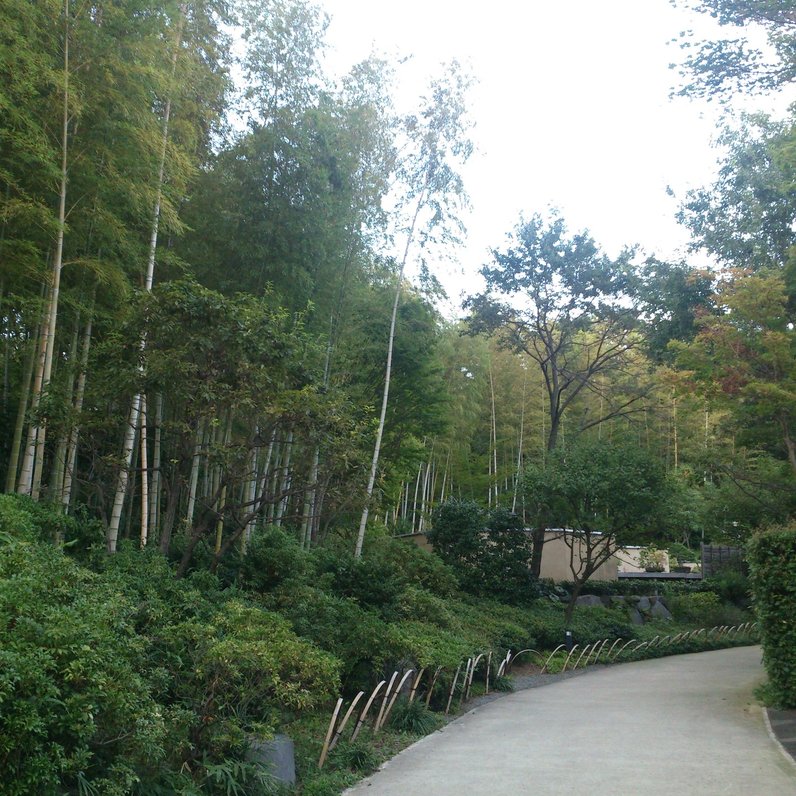国営昭和記念公園 日本庭園