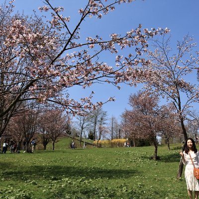 奈井江町にわ山森林自然公園