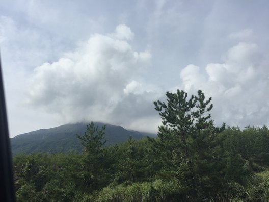 やぶ金 桜島フェリー店