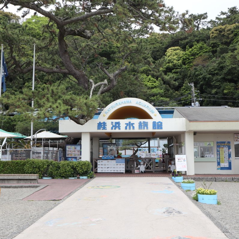 桂浜水族館