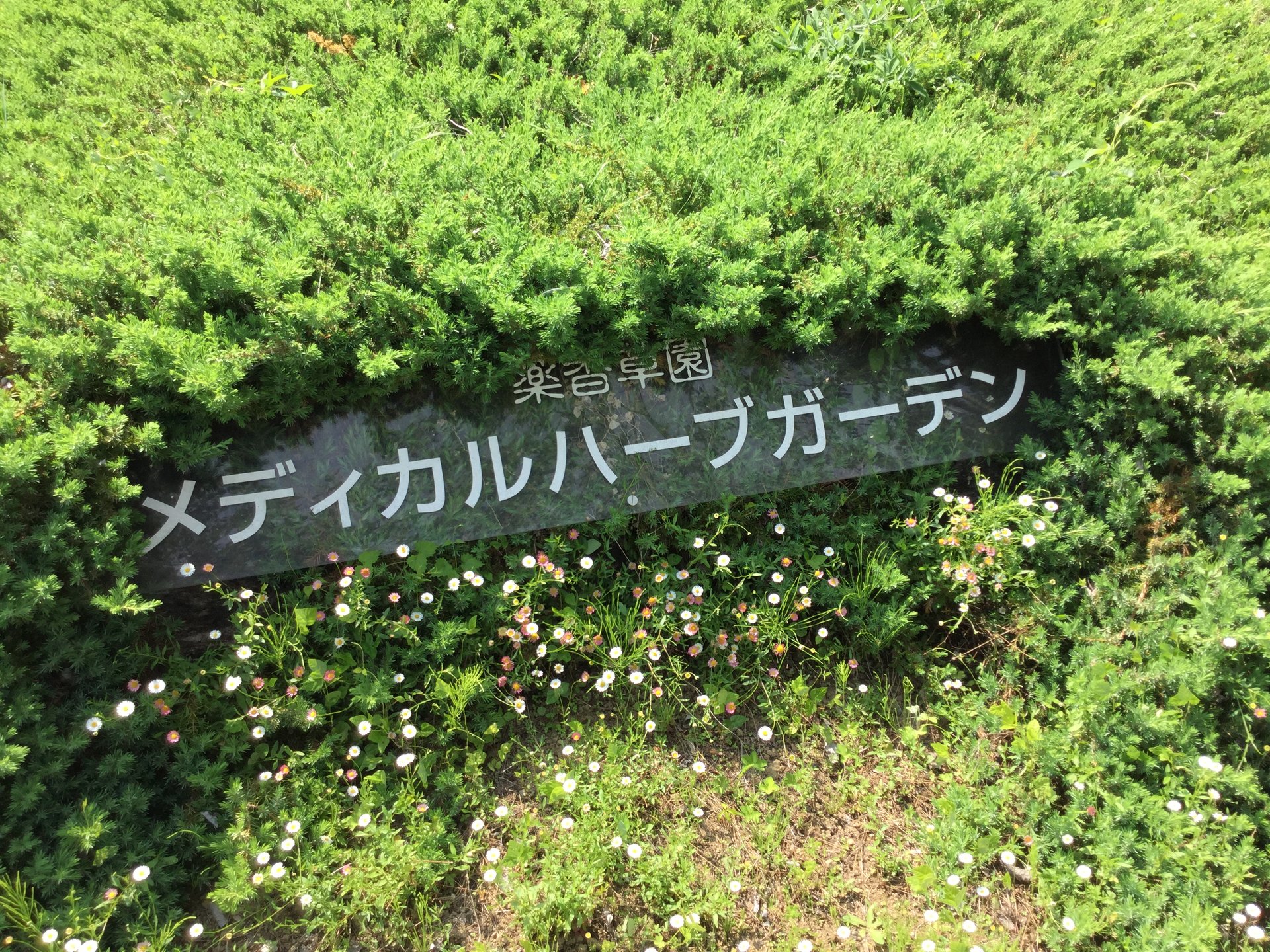 飯能市・美容と健康に大人だけの至福な時間★喜楽里別邸での美人の湯温泉日帰りプラン