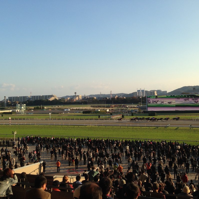 東京競馬場