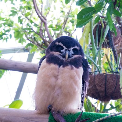 伊豆シャボテン動物公園