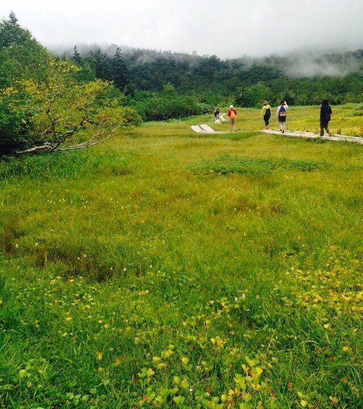 栂池自然園