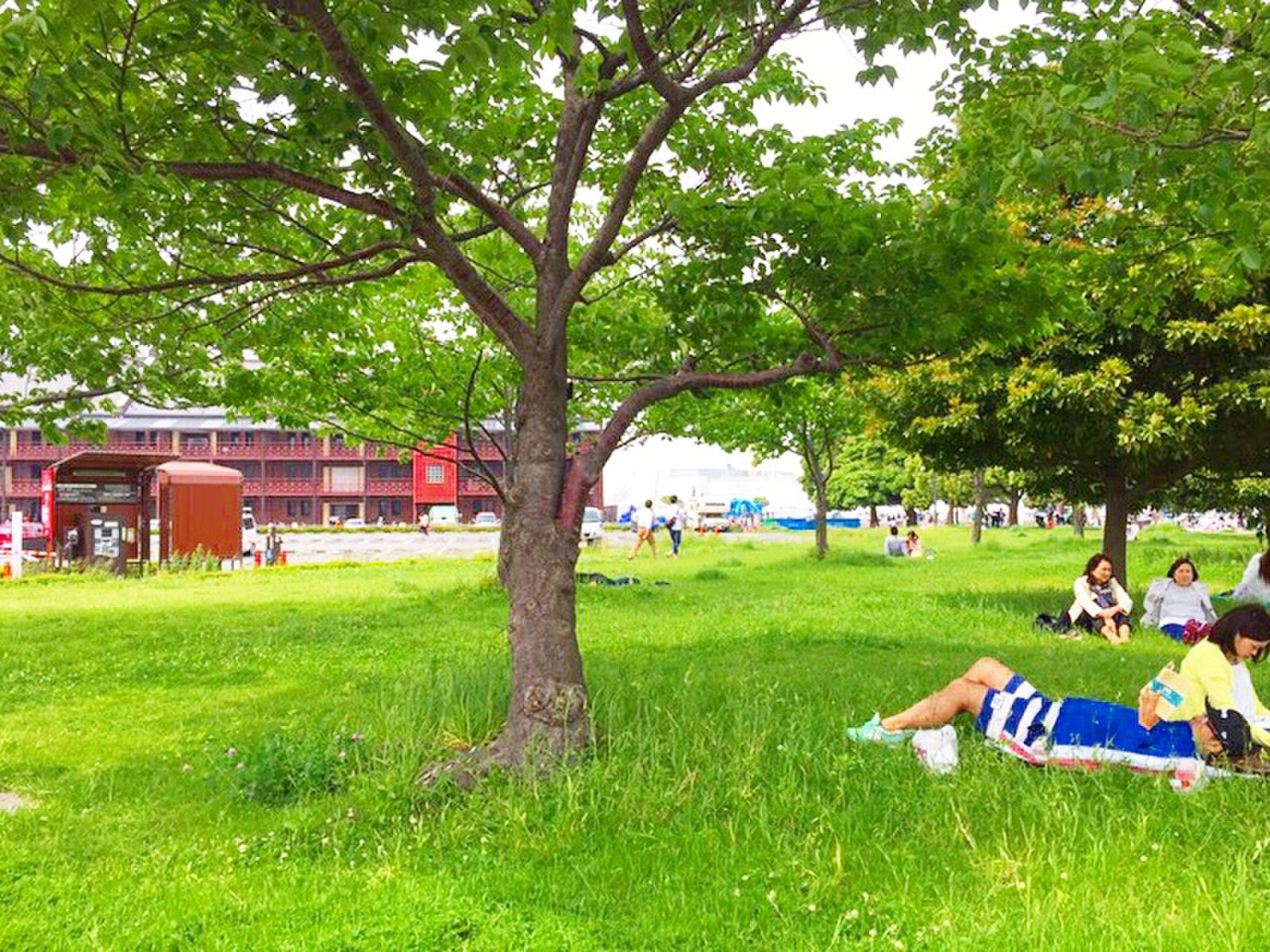 ピクニックに最適の場所5選 芝生に寝転んでお花に囲まれてゆったりピクニック Playlife プレイライフ