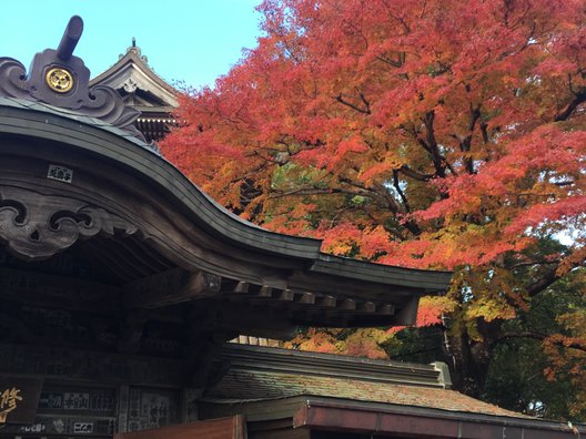 大本山 高尾山 薬王院