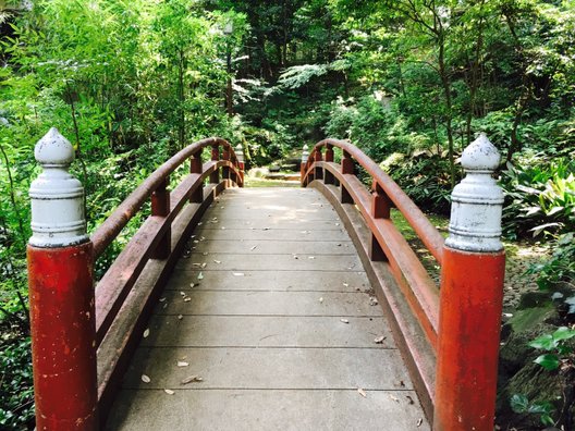 赤坂氷川神社