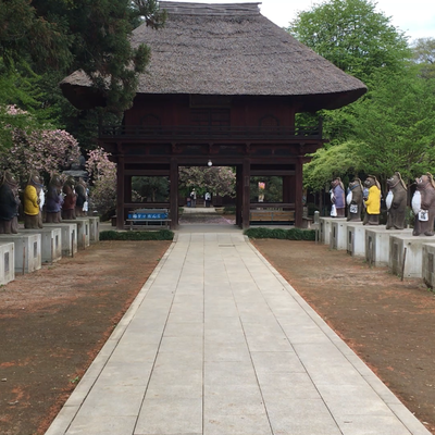 茂林寺