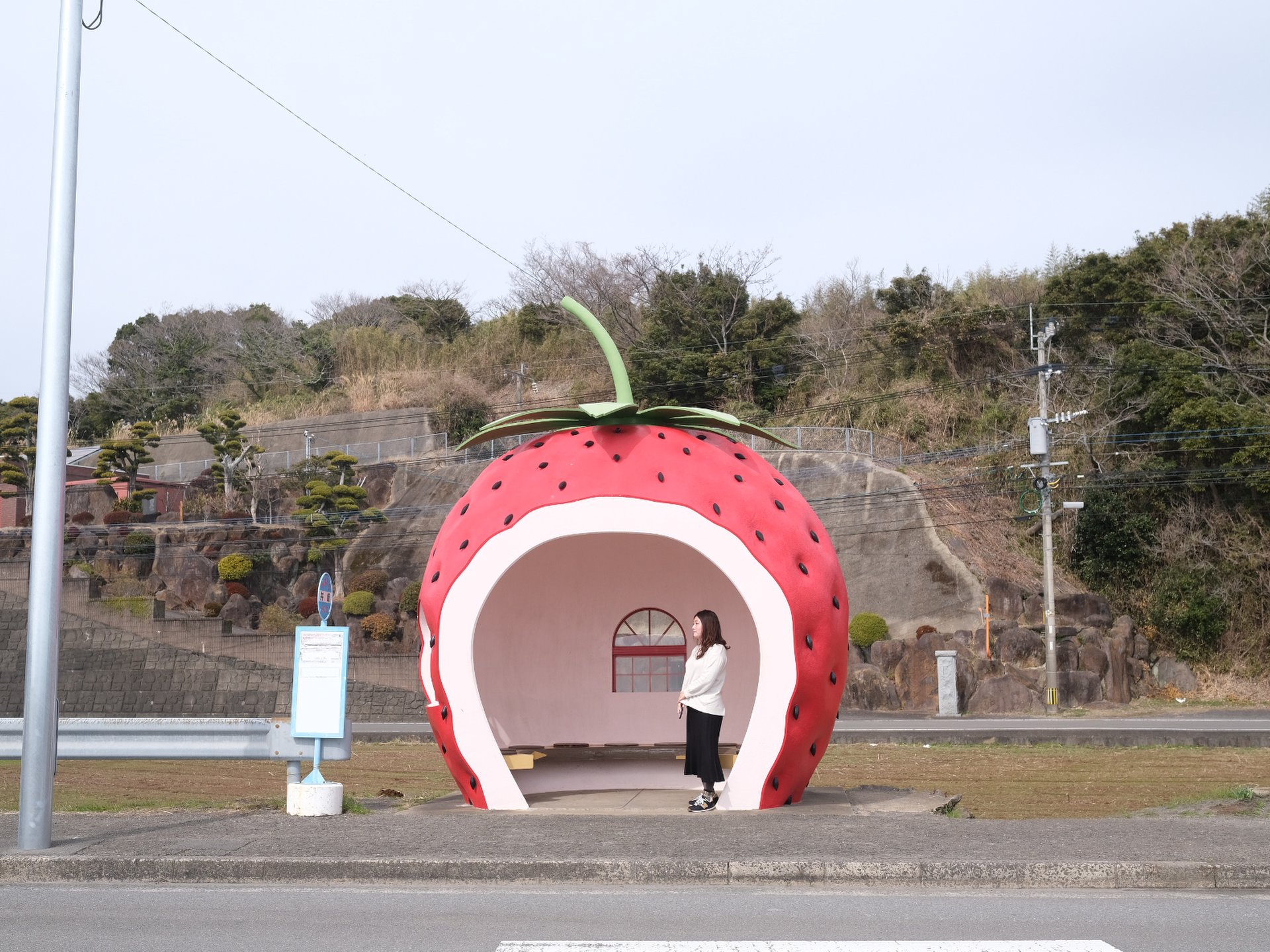 春の女子旅なら長崎県へ！かわいいがギュッと詰まった「フルーツバス停」＆名物トルコライスを巡る旅
