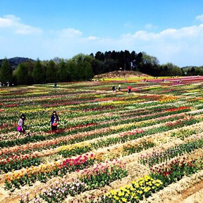 世羅高原農場