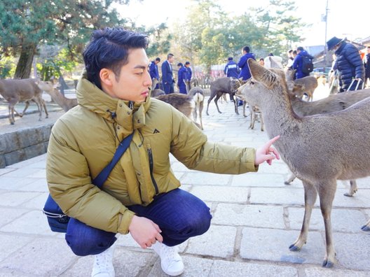 奈良公園