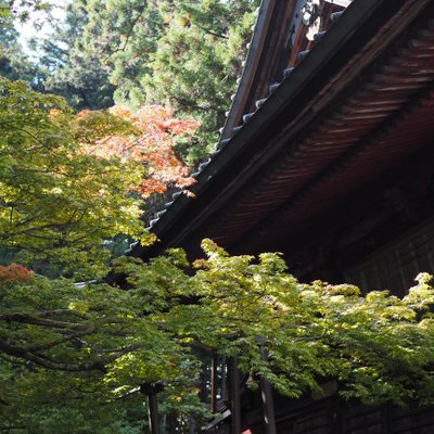 北口本宮冨士浅間神社