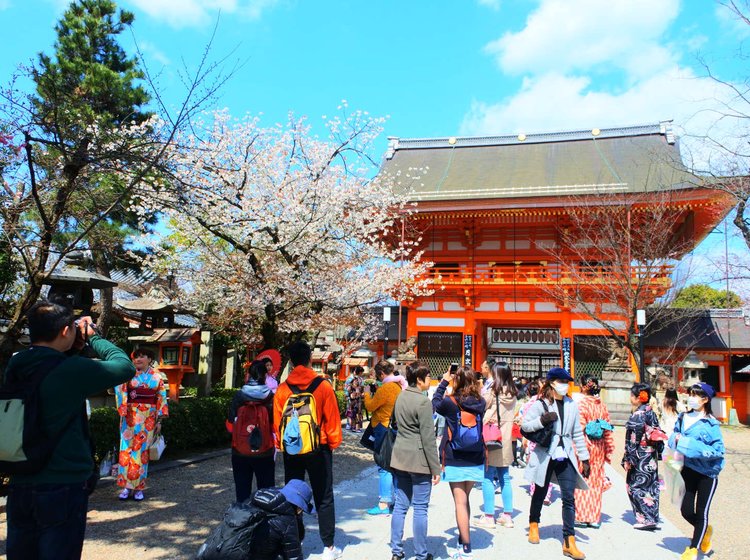 春に行きたい 京都にあるおすすめ観光スポット12選 Playlife プレイライフ