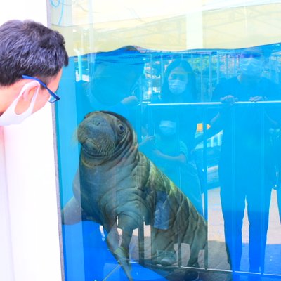 鳥羽水族館