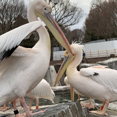 東京都多摩動物公園