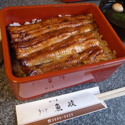 うなぎ魚政