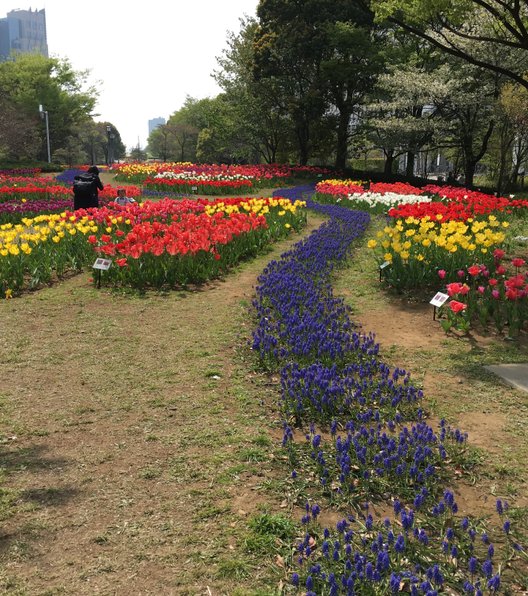 パナソニックセンター東京