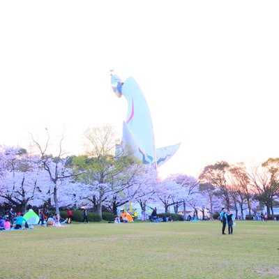 万博記念公園