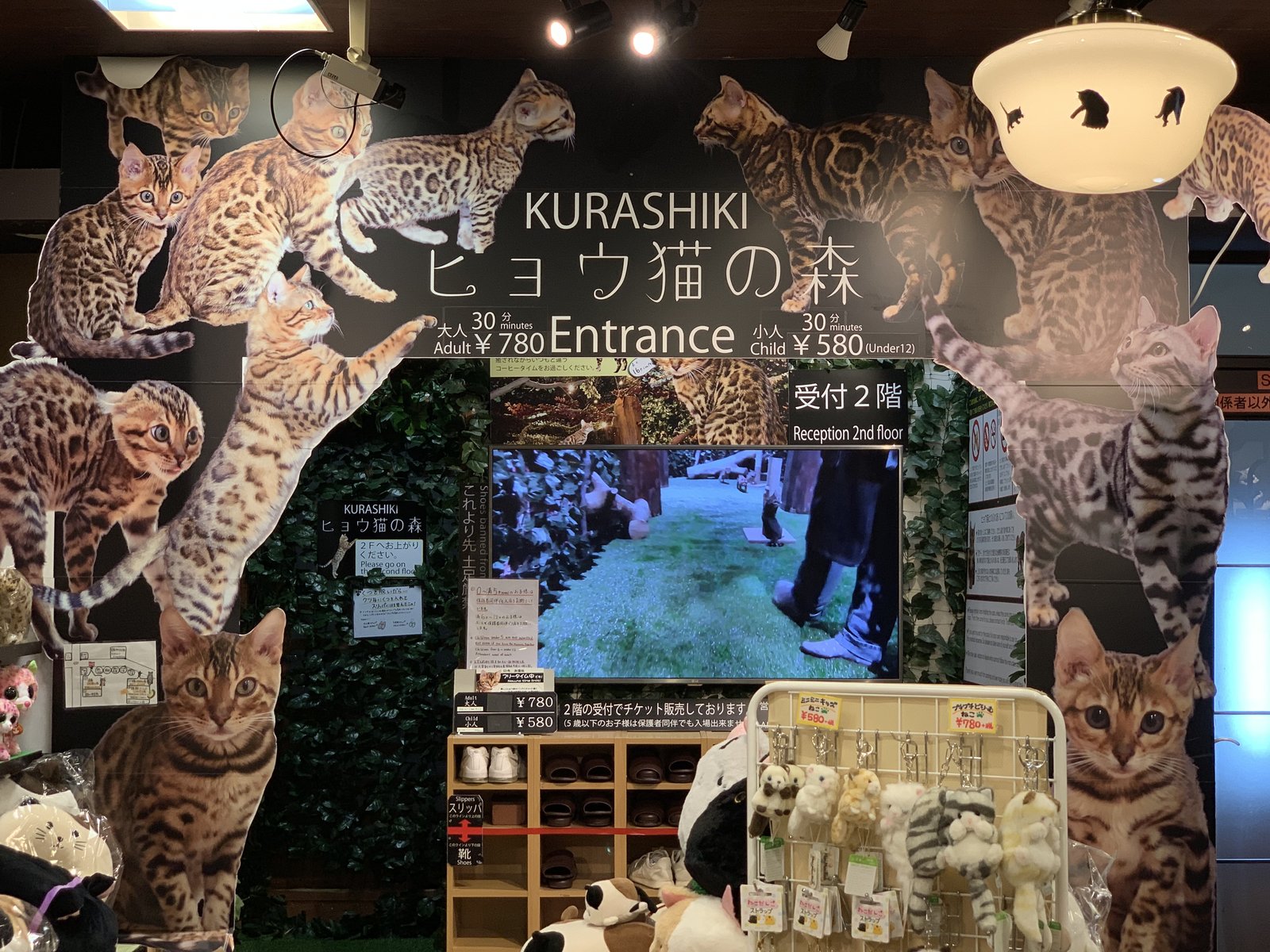 KURASHIKI ヒョウ猫の森