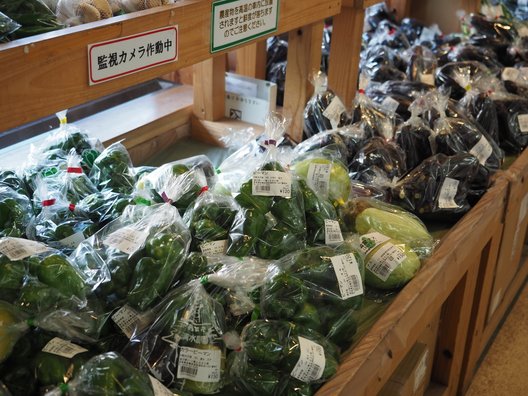 道の駅 八ッ場ふるさと館