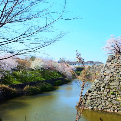 郡山城跡