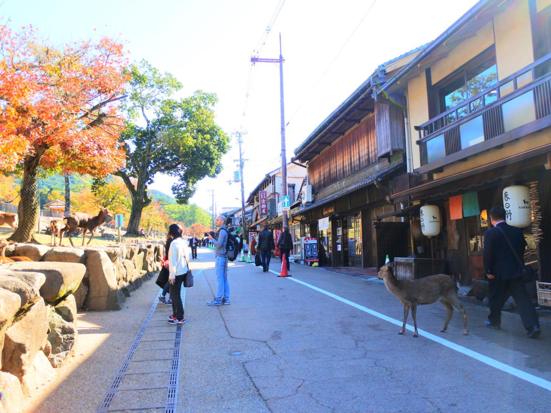 若草山