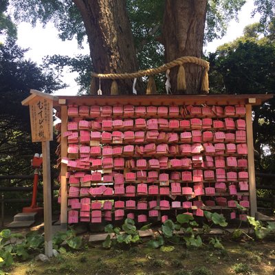 江島神社