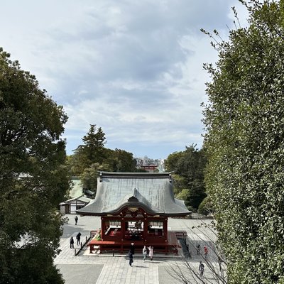 鶴岡八幡宮