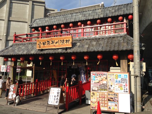 海鮮丼屋 海舟 早川漁村店