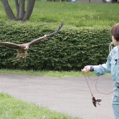 円山動物園