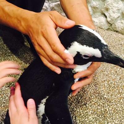 サンシャイン水族館