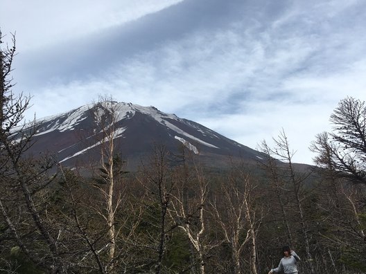 富士山