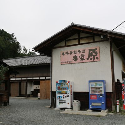 本格手打そば 本家 原